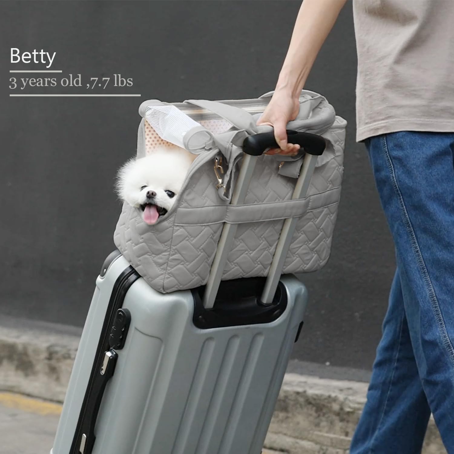 Pet carrier tote dimensions and features