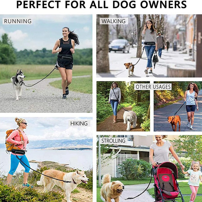 TrailLuxe dog walking belt storage details
