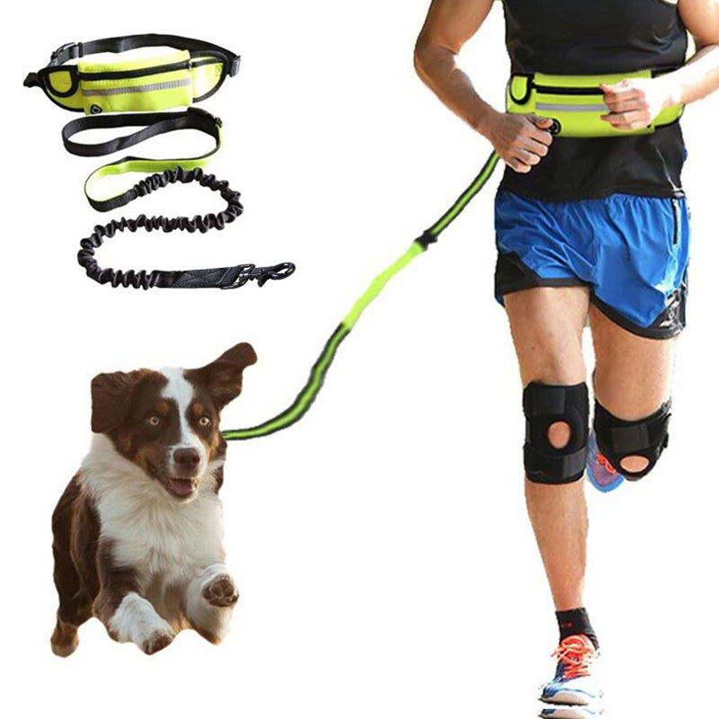 Pawshé TrailLuxe hands-free dog walking system