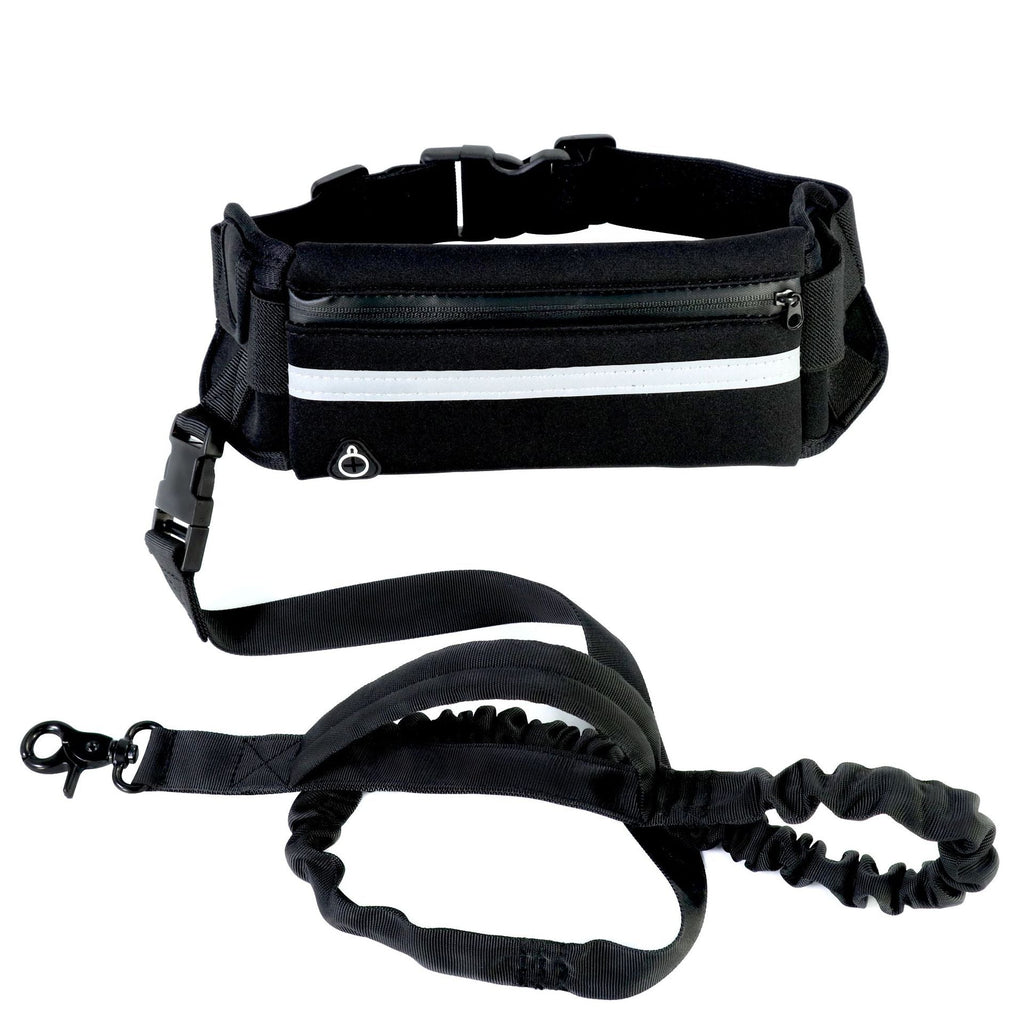 TrailLuxe reflective walking belt details