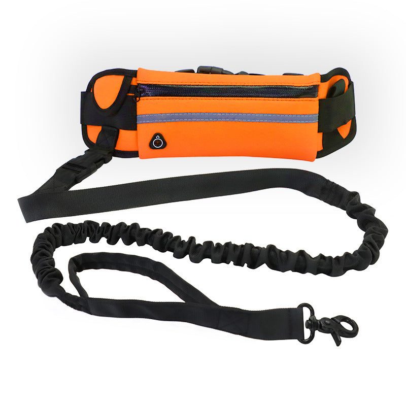TrailLuxe hands-free pet walking system in use