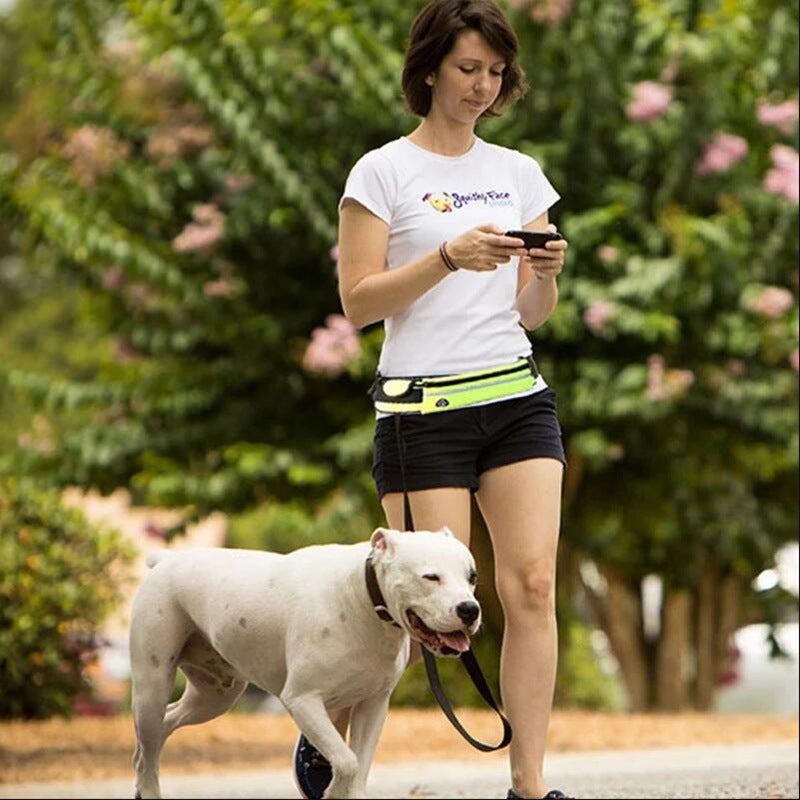 TrailLuxe shock-absorbing bungee leash detail