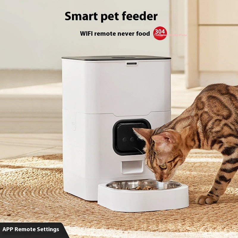 Pawshé LumiServe smart Wi-Fi pet feeder in translucent finish